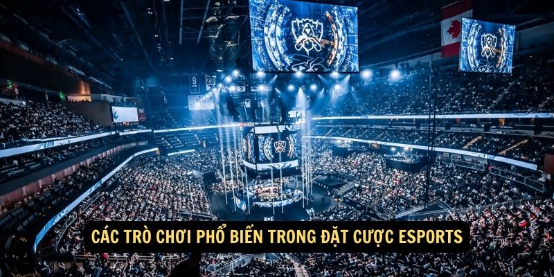 Cac tro choi pho bien trong dat cuoc Esports