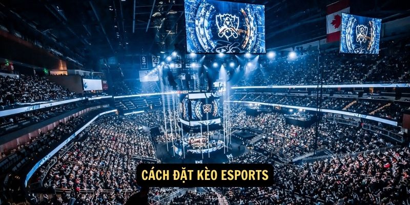 Cách đặt kèo Esports