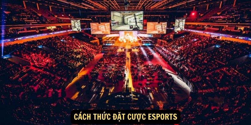 Cach thuc dat cuoc Esports