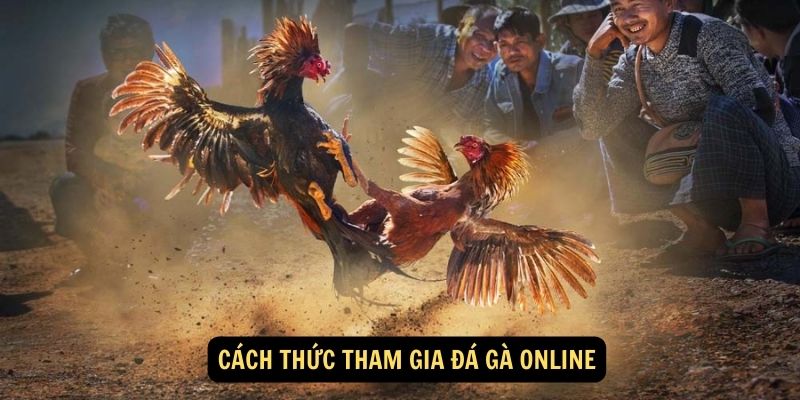 Cach thuc tham gia da ga online