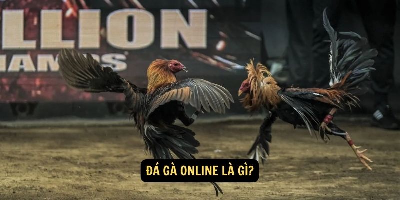 Da ga online la gi