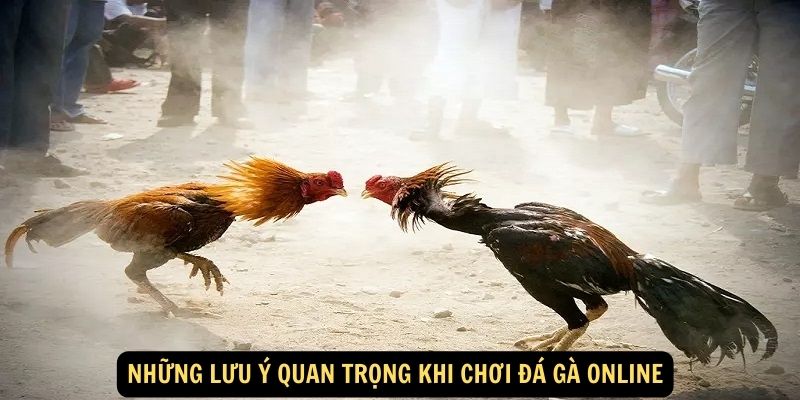 Nhung luu y quan trong khi choi da ga online